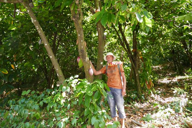 20200526 10200 Grant Mal Wanderung zum Annandale Wasserfall Kakao