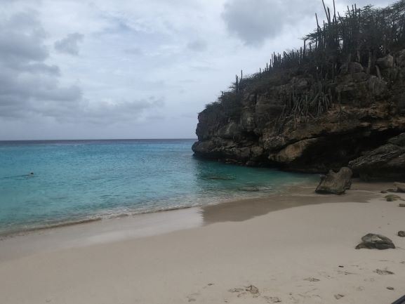 20210709 11720 Curacao Strand Grote Knip