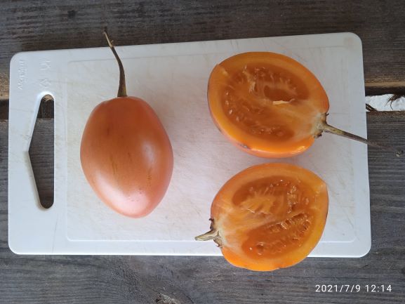 20210710 11800 Curacao vom Markt Tomato Agro